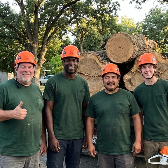 Tree service truck loaded with branches after a Sacramento job